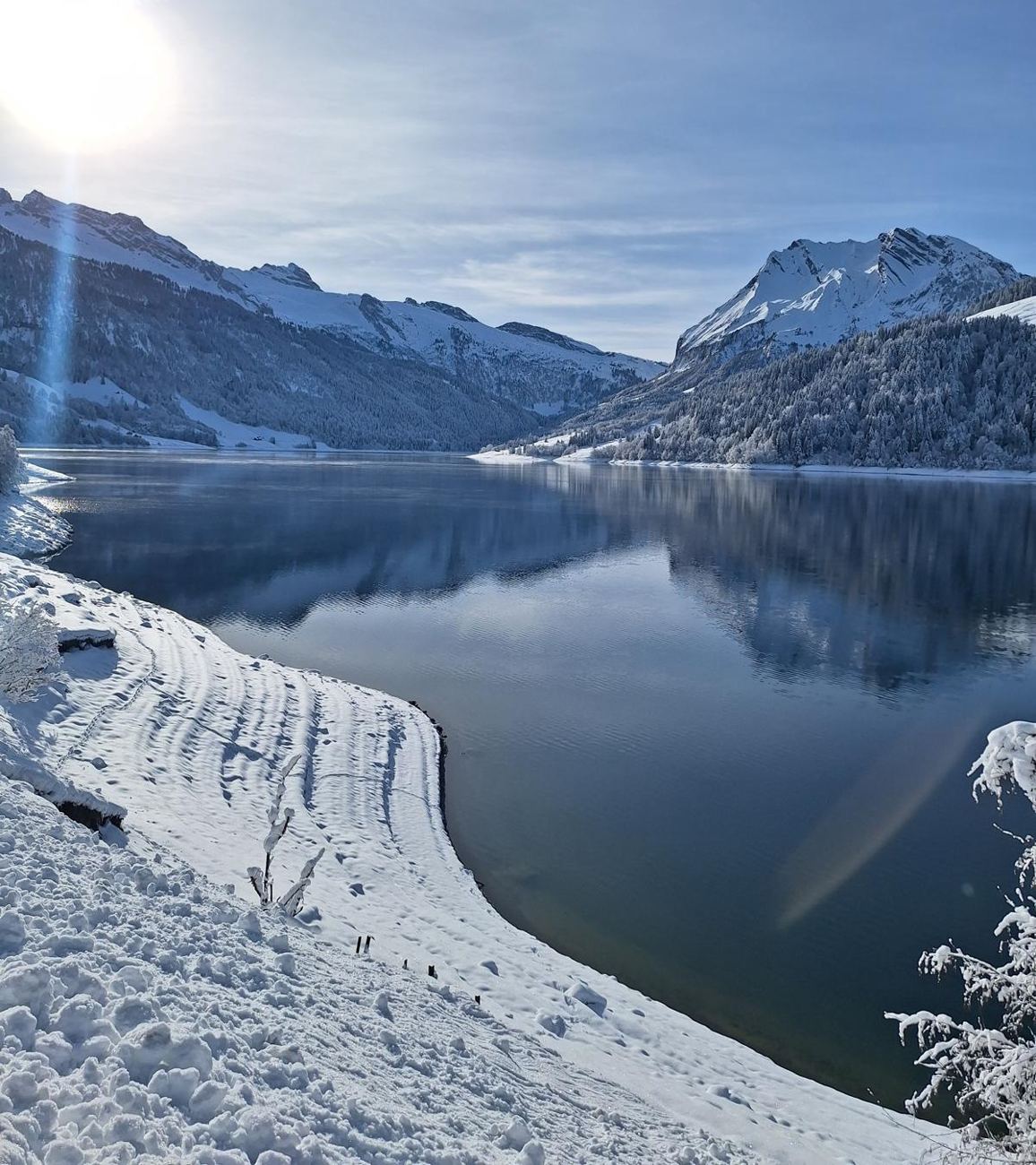 Verschneites Ufer am Wägitalersee bei Sonnenschein